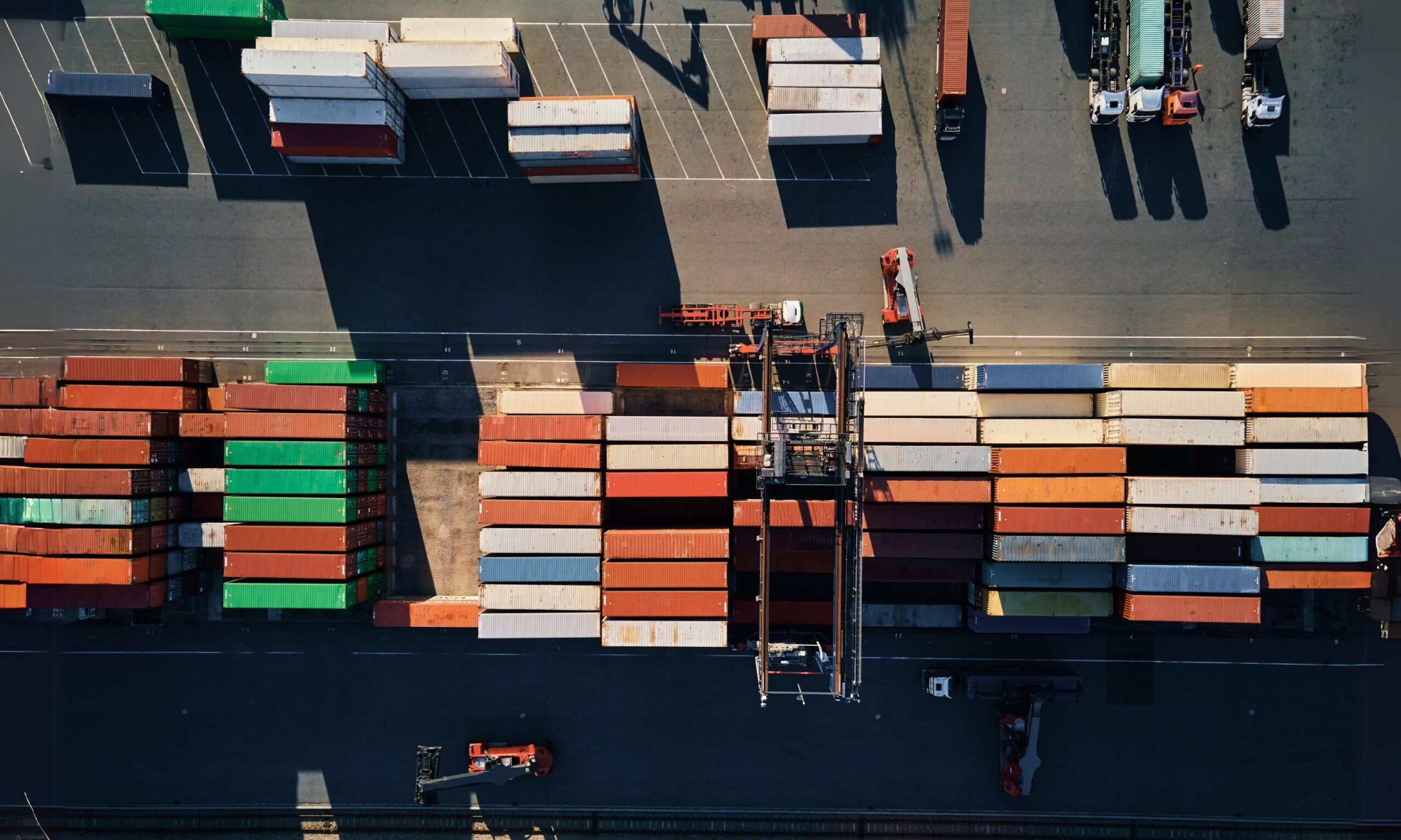 Distribution and Trade
